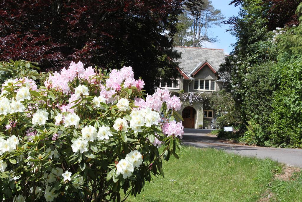 Knapp House Lodges East Anstey Екстер'єр фото